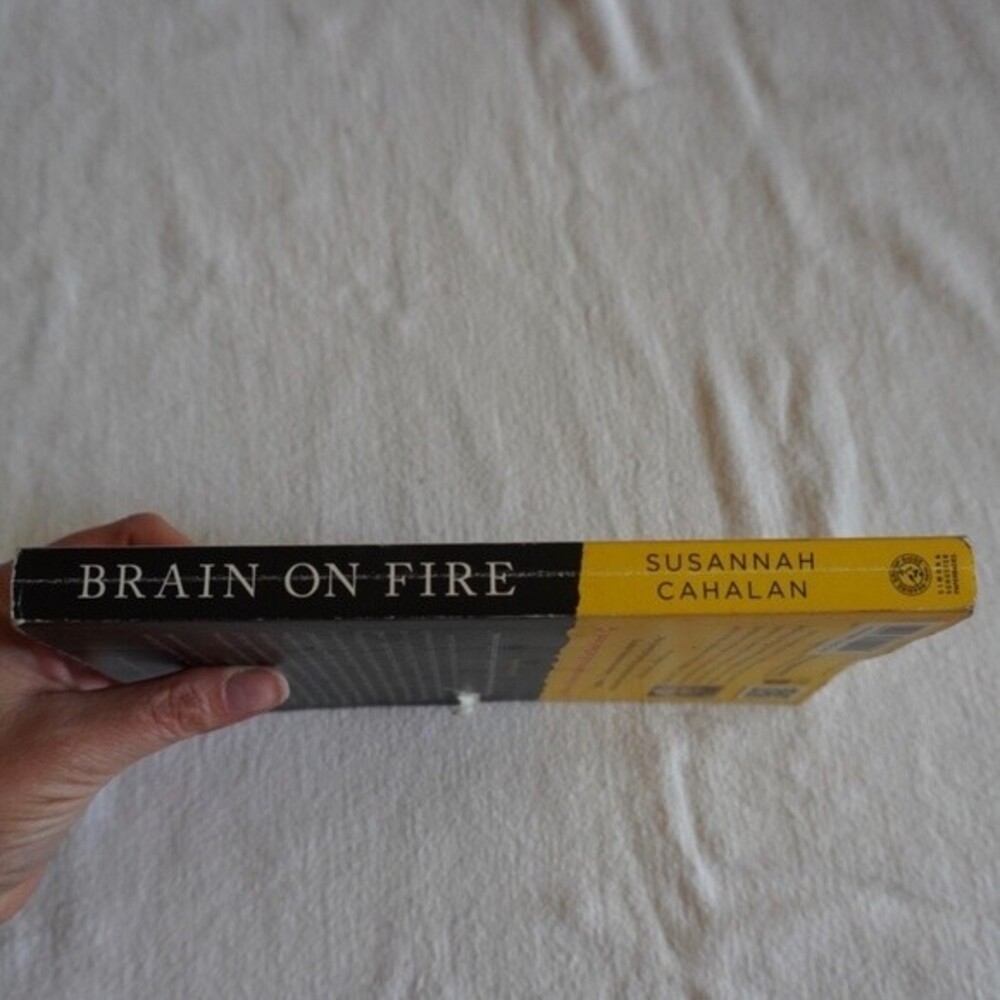 Susannah Cahalan Brain on Fire My Month of Madness - Picture 3 of 8